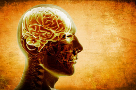¿Quieres cuidar tu cerebro? Evita el exceso de los siguientes nutrientes