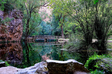 Jardín Histórico del Monasterio de Piedra