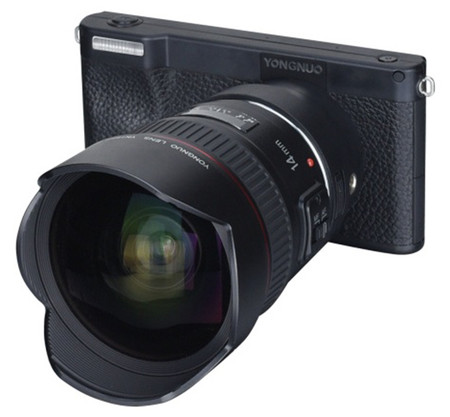 Yongnuo YN450