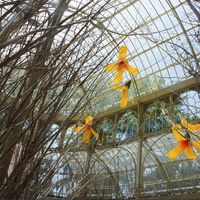 El Reina Sofía retoma sus exposiciones a lo grande, inundando de flores el Palacio de cristal