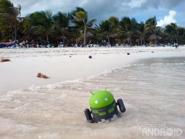 Android nadando en Riviera Maya