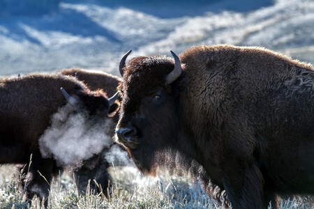 Yellowstone National Park 1760527 1280