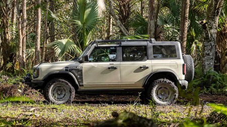 Ford Bronco Everglades 3