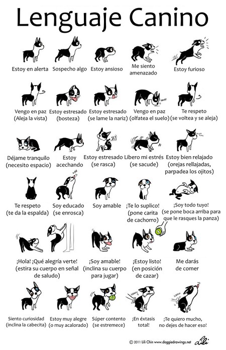 Lenguaje canino