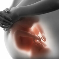 Cómo prevenir defectos congénitos en el embarazo