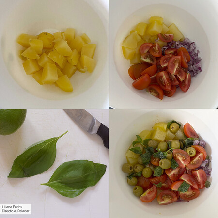 Elaboracion Ensalada Pantesca