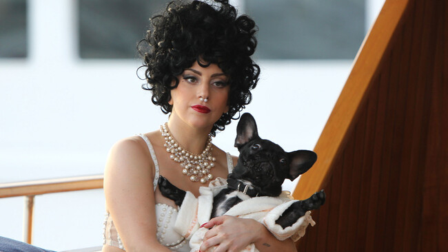 Lady Gaga Perros Gttes