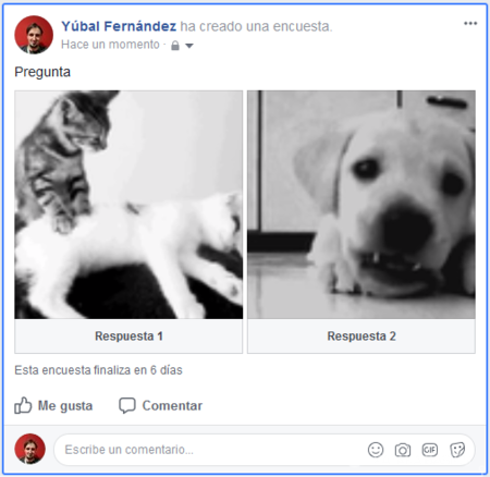 Encuesta Facebook Con Gif