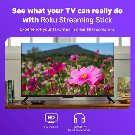 Roku HD 2025