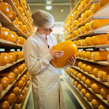 Lo hacían para evitar la acidez, pero también reduce la lactosa: este es el milagro del agua caliente en el queso Gouda