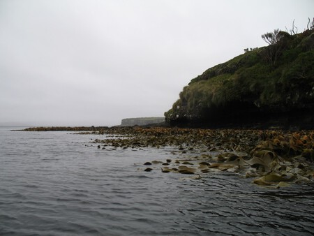 Isla Con Conejos