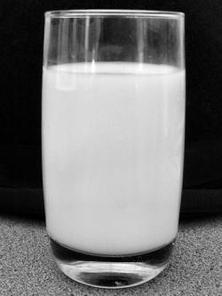 La vaca Marge produce leche con menos grasa y más Omega 3