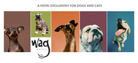 Wag Hotels: hoteles de lujo para perros y gatos