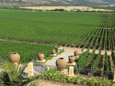 Colchagua