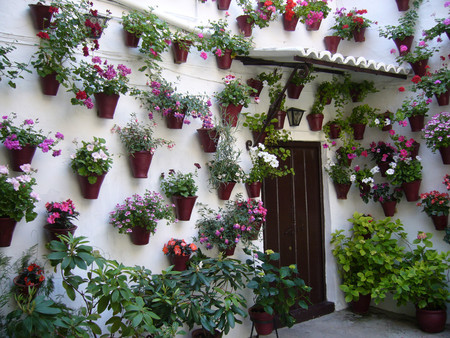 Cordoba Los Patios Mas Bellos De Espana