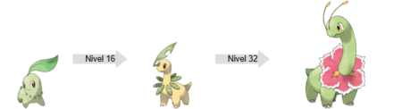 Evolución Chikorita