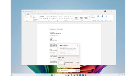 Recurso Copilot Vision 1