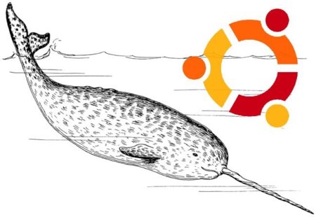 Ubuntu Natty Narwhal, ya tenemos nombre para Ubuntu 11.04