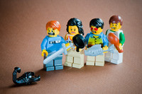 El principio de prudencia del emprendedor 