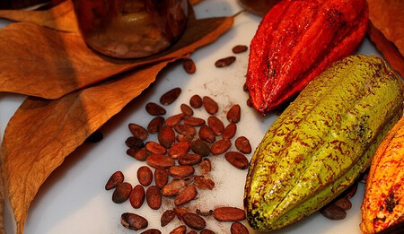 Lánzate este fin de semana al Festival Chiapaneco del Cacao y Chocolate 2025 en un Pueblo Mágico al sur de México