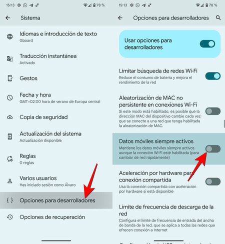 Desarrollador Opciones