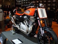 Copa monomarca Harley Davidson XR1200 en Italia