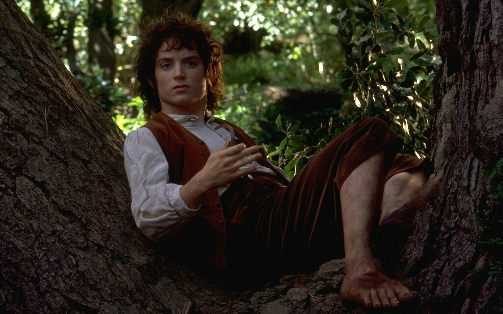 Elijah Wood no va a consentir, bajo ningún concepto y mientras él esté vivo, que nadie más interprete a Frodo en El Señor de los Anillos 