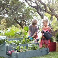 ¿Se debería enseñar agricultura en el cole? Una nueva asignatura para volver a las raíces