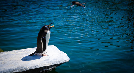 Por qué recomendar que te pases a Linux en 2020 es diferente que en todas las ocasiones anteriores