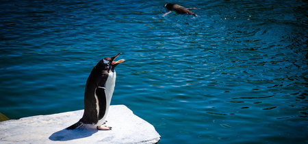 Por qué recomendar que te pases a Linux en 2018 es diferente que en todas las ocasiones anteriores