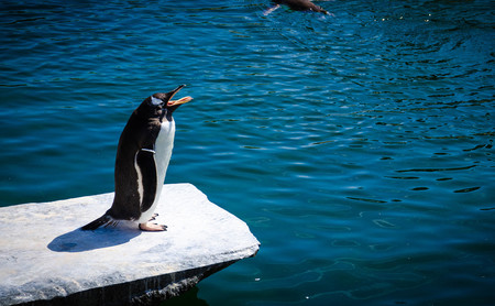 Por qué recomendar que te pases a Linux en 2020 es diferente que en todas las ocasiones anteriores