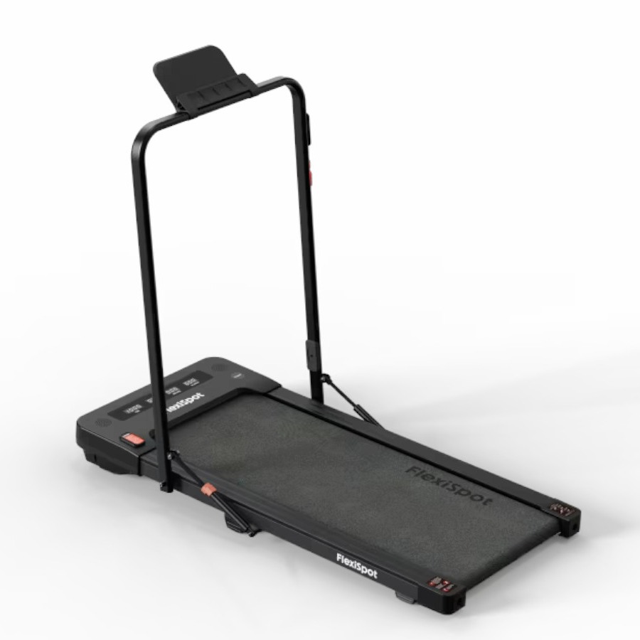 Flexispot Motion X