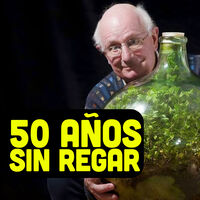 Mientras que a ti se te mueren todas las plantas, este señor lleva desde 1972 sin regar la suya
