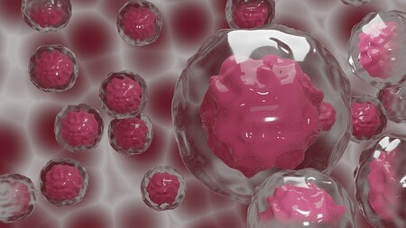 Algoritmos de IA ofrecen esperanza para los pacientes con cáncer de hígado con menos del 13 % de probabilidad de supervivencia