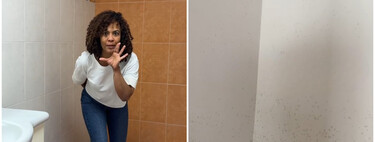 Ángela Recio, experta en bricolaje: "Si tienes las paredes llenas de humedades, este producto es mano de santo para eliminarlas, ahora tengo casa nueva" 