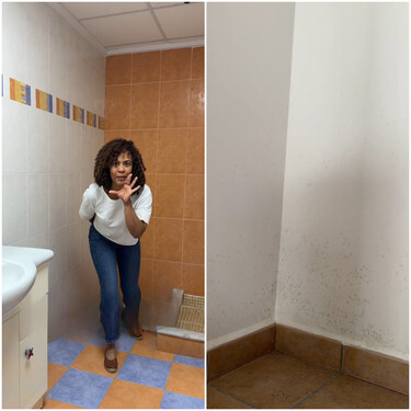 Ángela Recio, experta en bricolaje: "Si tienes las paredes llenas de humedades, este producto es mano de santo para eliminarlas, ahora tengo casa nueva" 