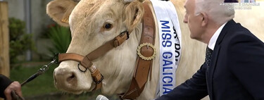 Miss España ha muerto. Es el turno de Miss Vaca, el concurso más moderno, rural, absurdo y viral cuyo éxito tiene todo el sentido en la post-ironía de 2025