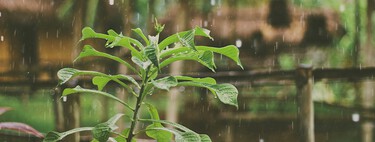 Generar electricidad a partir del aire: así funciona este revolucionario invento que depende de la humedad del aire 