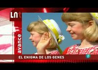 La noche temática dedicada a los gemelos