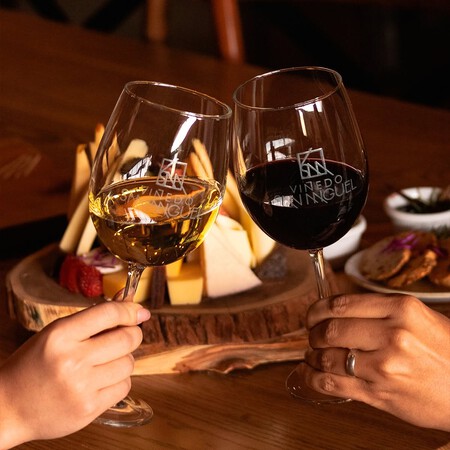 Con más de 60 hectáreas de viñedos, Viñedo San Miguel cultiva variedades como Cabernet Sauvignon, Syrah, Merlot, Malbec, Tempranillo, Sauvignon Blanc y Chardonnay, aprovechando las condiciones climáticas y los suelos del Bajío para producir vinos de alta calidad. Sus etiquetas han sido distinguidas en certámenes internacionales como el Concours Mondial de Bruxelles, México Selection by Concours Mondial de Bruxelles, Decanter World Wine Awards, Japan Women's Wine Awards (Sakura Awards) y San Francisco International Wine Competition, reconocimientos lo han posicionado como uno de los proyectos vinícolas más destacados del país y un referente de la producción de vino mexicano. Además, Viñedo San Miguel fue distinguido como la Mejor Bodega de México 2026 por la Asociación de Sommeliers Mexicanos, un reconocimiento otorgado por profesionales de la industria vitivinícola que destaca la excelencia de los principales proyectos vinícolas del país. Si te animas a visitarlo, podrás recorrer los viñedos, conocer la cava y el proceso de elaboración del vino, participar en catas guiadas por especialistas y disfrutar de maridajes elaborados con ingredientes regionales, que se dividen en las siguientes experiencias: San Bartolo: Tour por la bodega, paseo entre viñedos y degustación de 3 vinos. Petriolo: Recorrido guiado con cata de 4 vinos y una tabla de quesos y carnes frías. San Miguel: Nuestra experiencia más completa: 5 vinos maridados con bocadillos, además de degustación de aceite de oliva italiano.