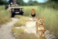 Los 10 mejores destinos para ver vida salvaje en Africa (III)
