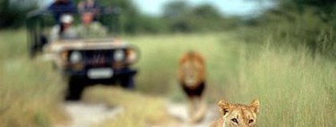 Los 10 mejores destinos para ver vida salvaje en Africa (III)