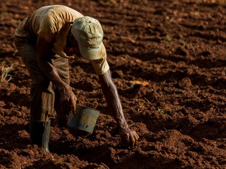 Agricultor