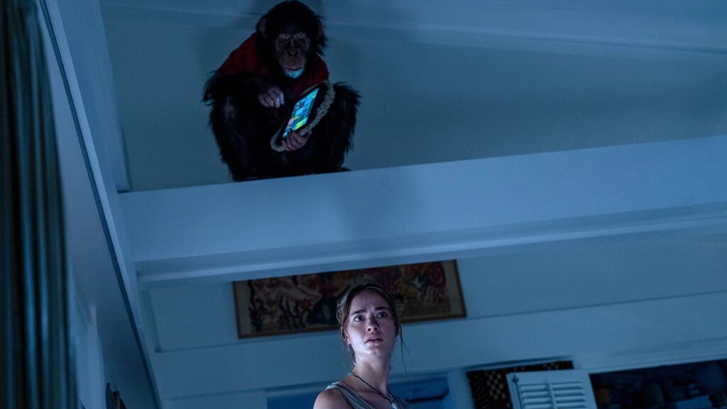 Un mono con malas pulgas contra Isabel Coixet. Lo mejor y lo peor de los estrenos de cine