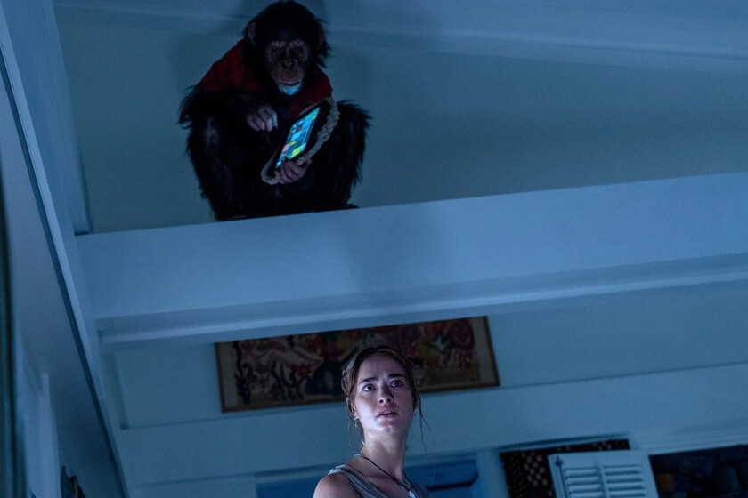 Un mono con malas pulgas contra Isabel Coixet. Lo mejor y lo peor de los estrenos de cine