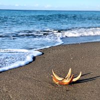 Esta playa de Granada es ideal para disfrutar del sol en invierno  