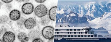The Andes variant of hantavirus: why at first we assumed zoonosis and now we are talking about contagion between humans