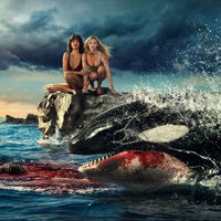 Olvídate de Tiburón, la nueva peli que hará que no quieras volver a pisar la playa va de una orca asesina sedienta de sangre y ya tiene tráiler 