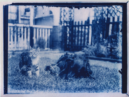 Un fotógrafo descubre una cápsula del tiempo con placas fotográficas y decide revelarlas con el proceso de la cianotipia