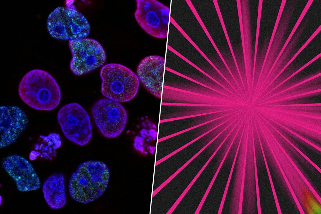 El tratamiento más inesperado contra el cáncer está en la luz LED, y está dando buenos resultados 